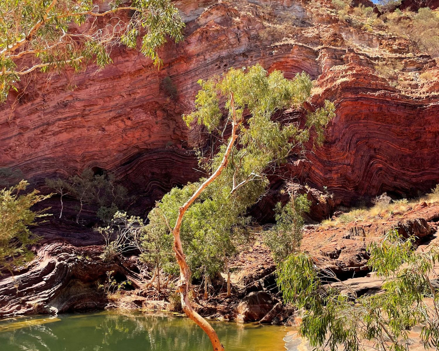W2W-CREEK-WATER-IN-THE-OUTBACK